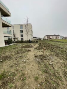 Garten SM Vorher