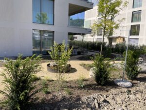 Wassersetzung im Garten SM Nachher