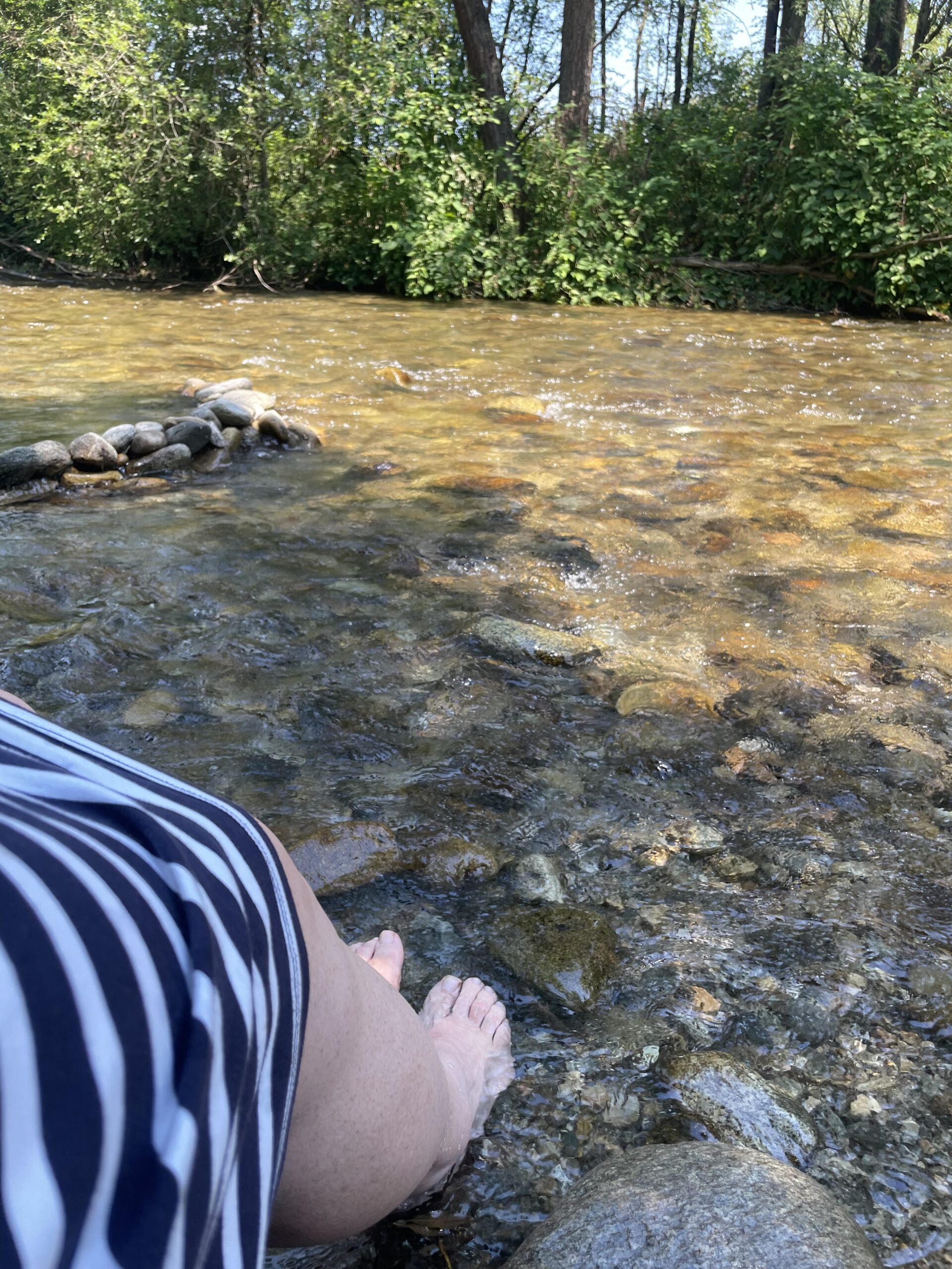 Im Lebensfluss 1