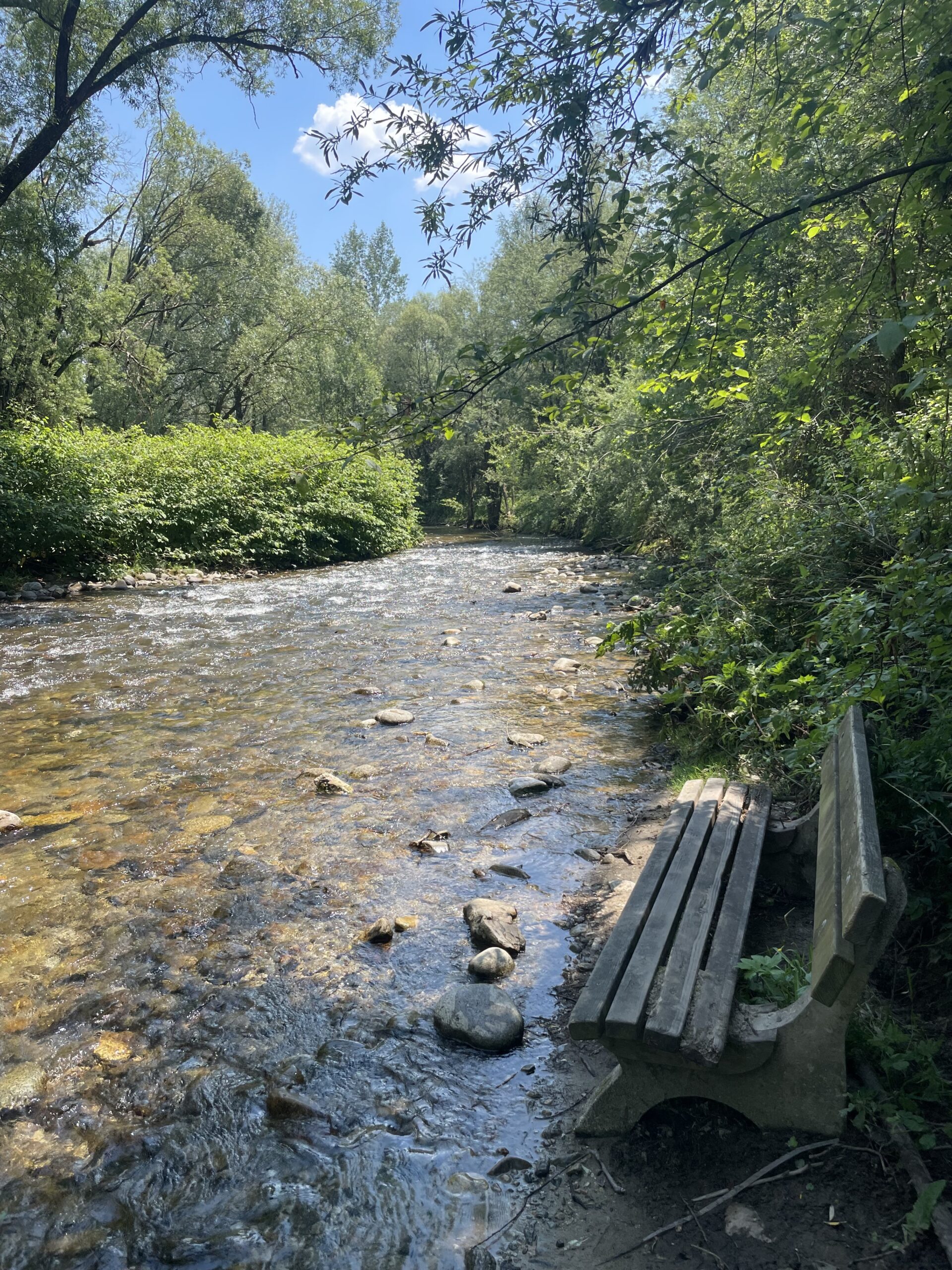 Bank sowas von im Lebensfluss