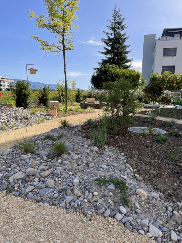 Garten SM Nachher